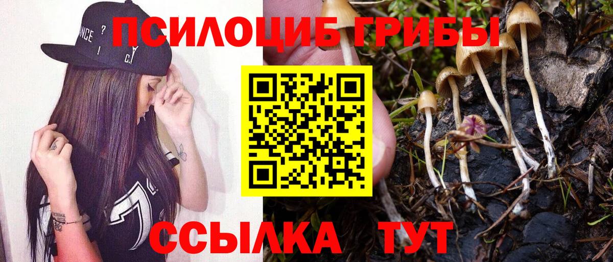 закладка  Псилоцибиновые грибы Magic Shrooms  Псилоцибиновые грибы MAGIC MUSHROOMS  Вход с VPN  Вязьма 