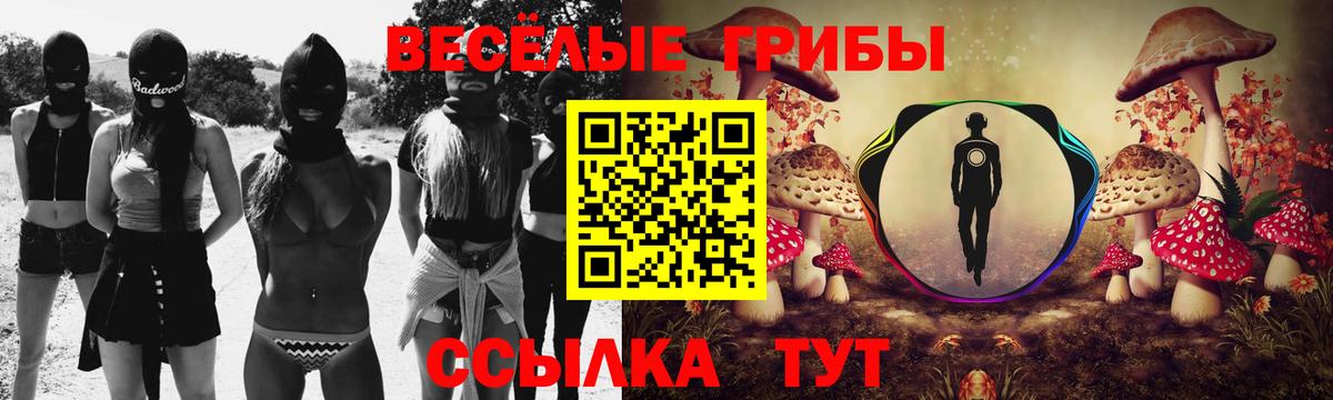Псилоцибиновые грибы Magic Shrooms Вязьма